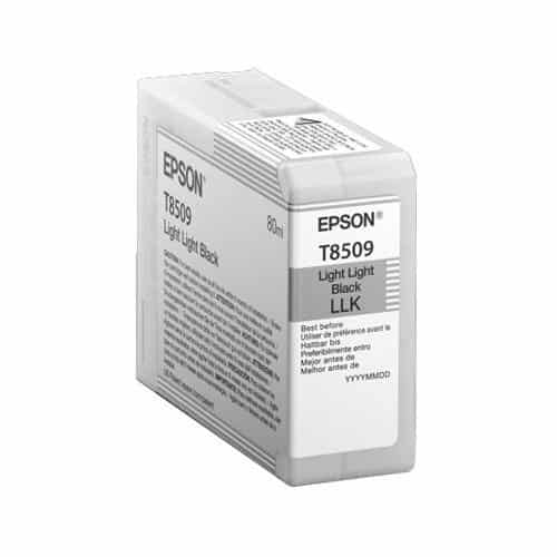 Epson C13T850900 Licht licht Zwart 80 ml