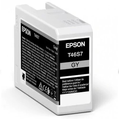 Epson 25 ml UltraChrome Pro 10 Grijs - C13T46S700