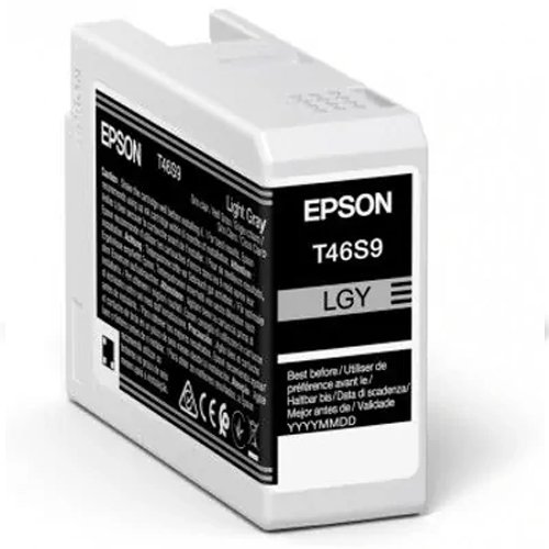 Epson 25 ml UltraChrome Pro 10 Licht Grijs - C13T46S900